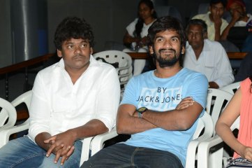 Seethamma Andaalu Raamayya Sithraalu Movie Success Meet